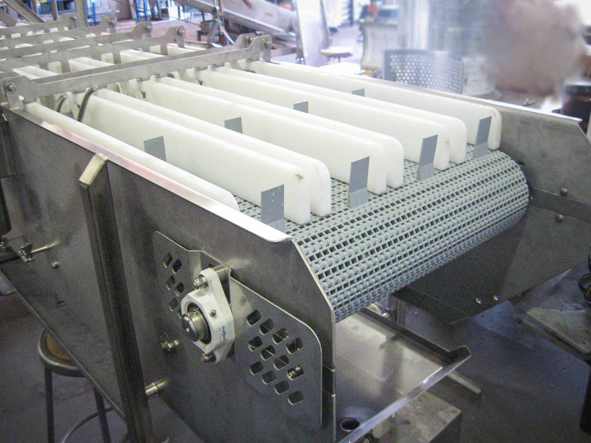 b. FFM Website Image – Conveyor – 1021-CONVEYOR1b
